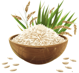 Rice Supplier