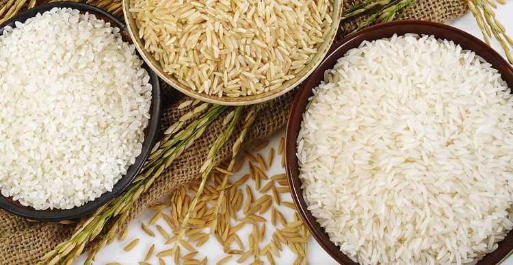 Rice Supplier